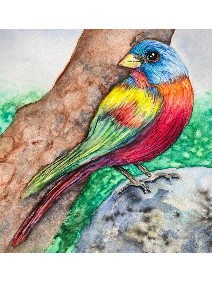 Watercolor colorful bird