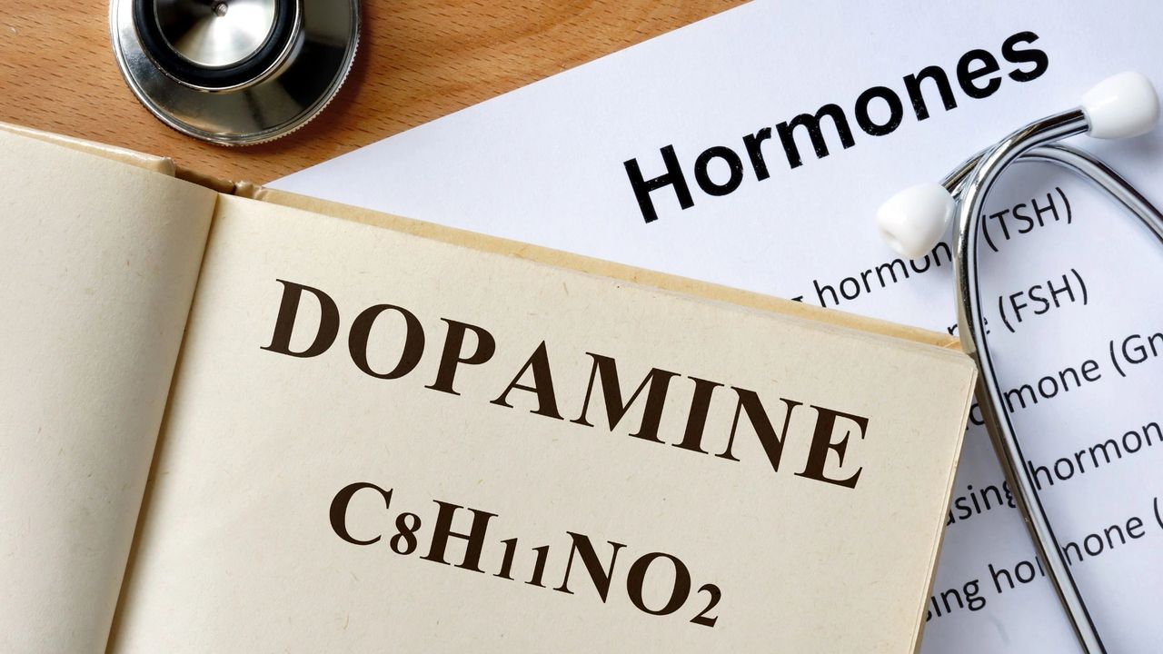 Dopamine and Estrogen