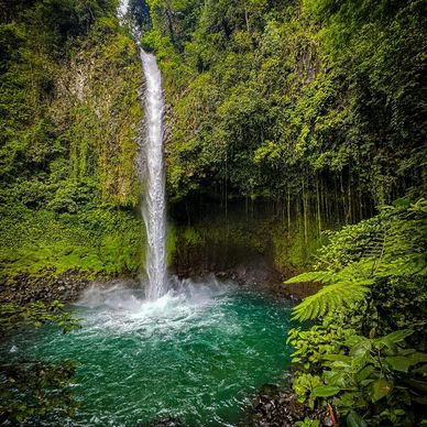 A tall waterfall flowing into a turquoise pool surrounded by lush greenery.
