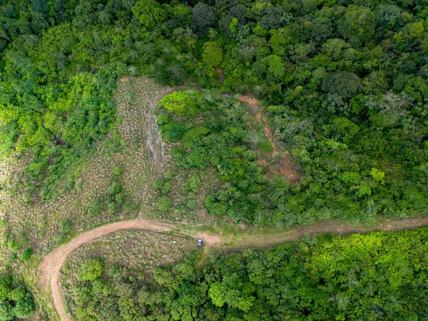 A dirt road curves through dense green forest with a vehicle in the center.
