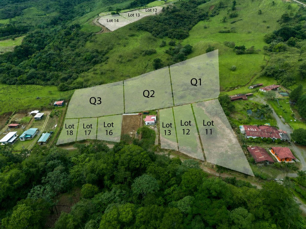 Aerial view of green lots and plots in a rural area.