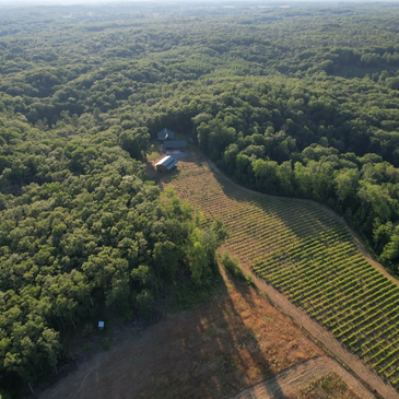 Our vineyard is on the highest point in Newaygo County  - providing the optimal growing environment.