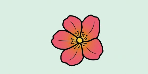BLOOMING MIRACLES