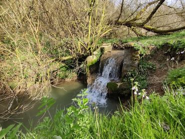 Dowdeswell Wood water course 