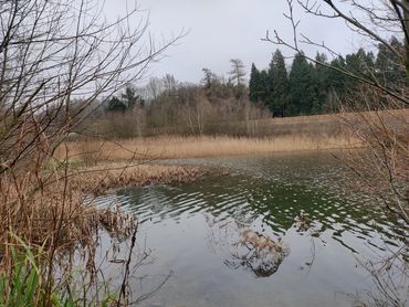 Dowdeswell Reservoir 