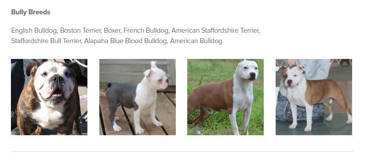 what breeds of dog have lethal white gene