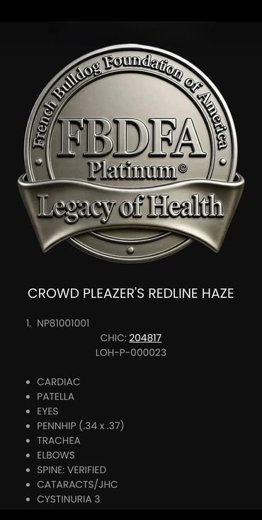 RedlineHaze; FBDFA Legacy of Health Platinum