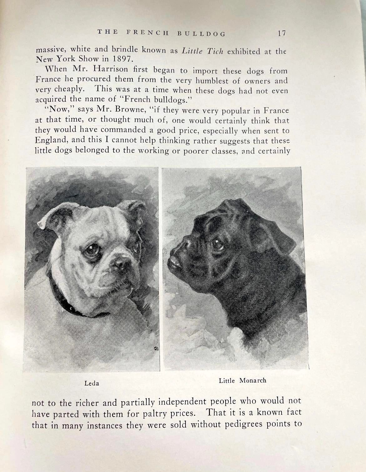 CHAPTER XII: ORIGINS OF THE FRENCH BULLDOG, image size:1170x1509
