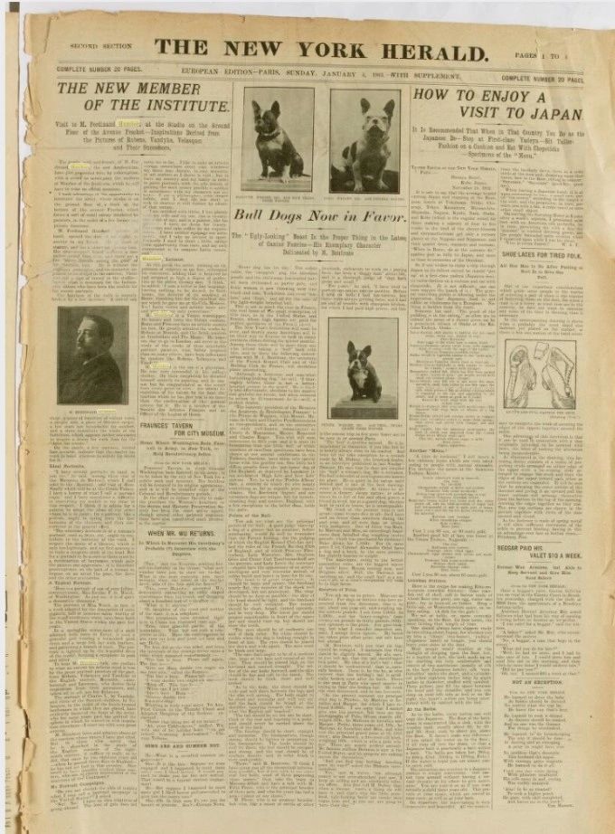 Image 4 of The New York herald (New York [N.Y.]), August 28, 1903