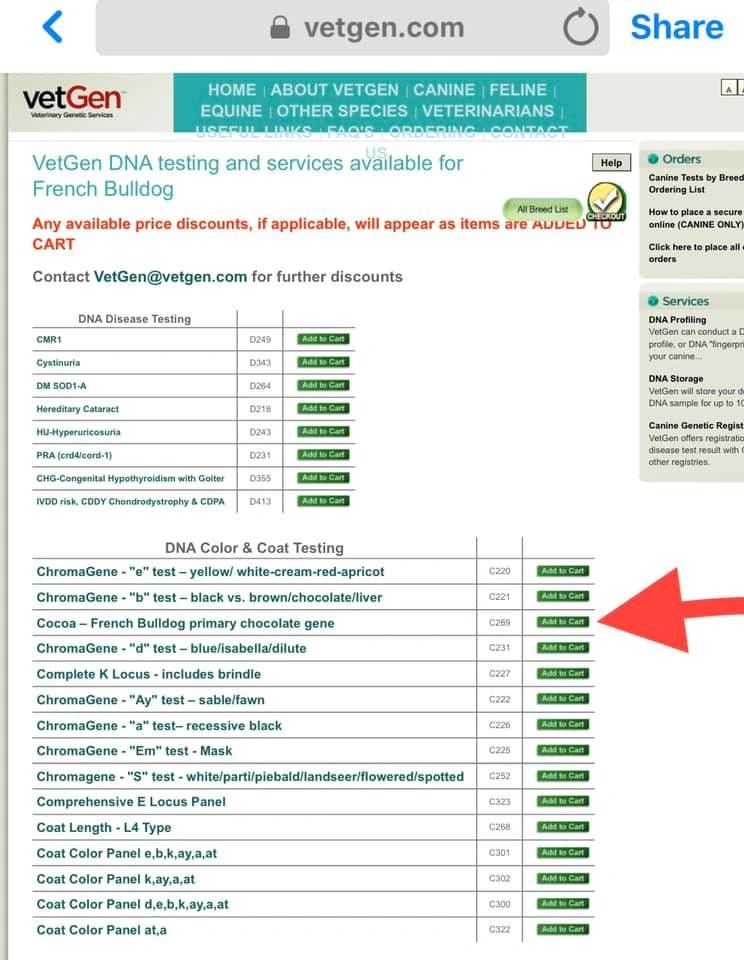 french bulldog genetic testing