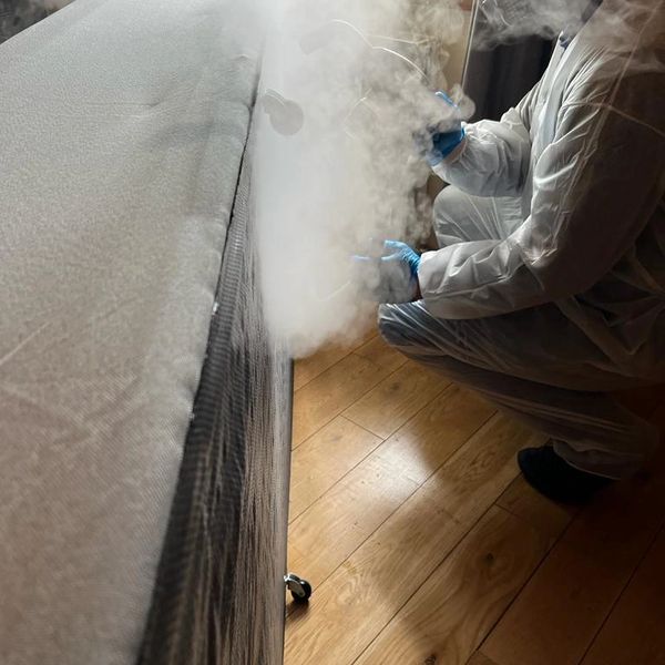 Bed bug treatment