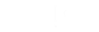 Blue i Group