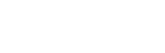 Blue i Group