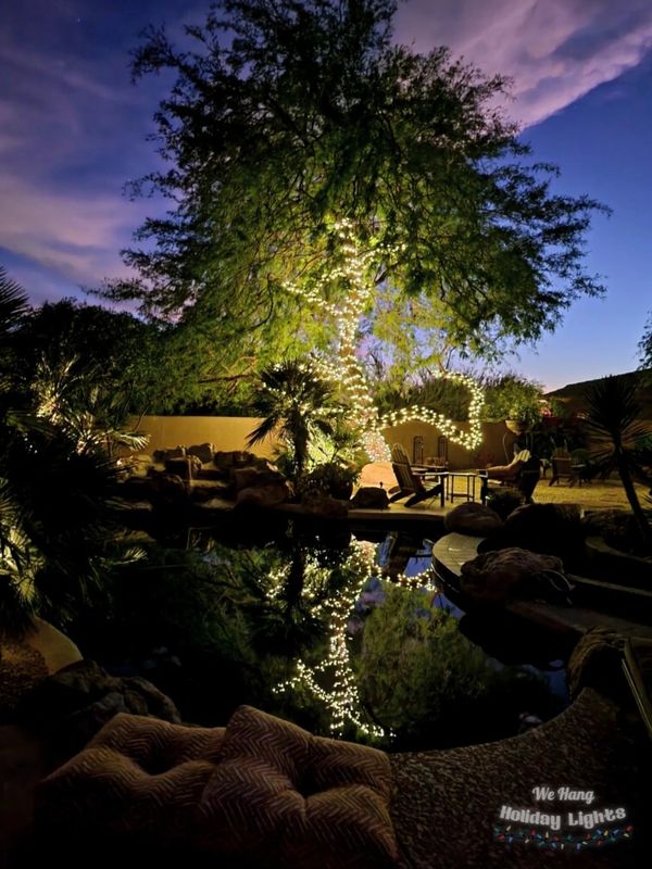 We Hang Holiday Lights