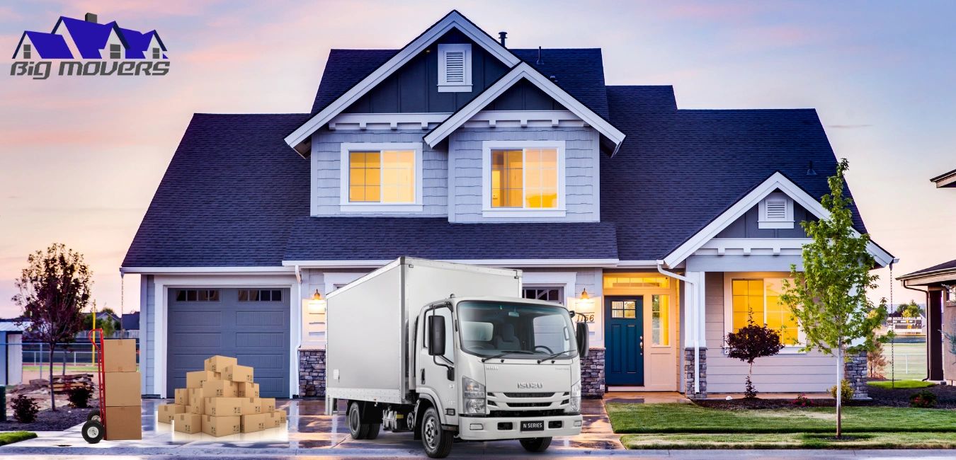 Removalists
