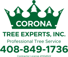 Corona Tree Experts Inc