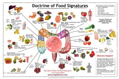 A Healthy Gut Doctrine of Food Signatures