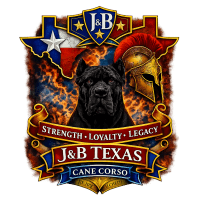 J&B Texas Cane Corso’s 