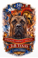J&B Texas Cane Corso’s 