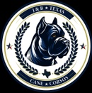 J&B Texas Cane Corso’s 