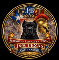 J&B Texas Cane Corso’s 