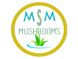 MSM Mushrooms