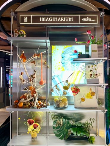 Artistic display of dried and fresh botanical elements in a showcase.