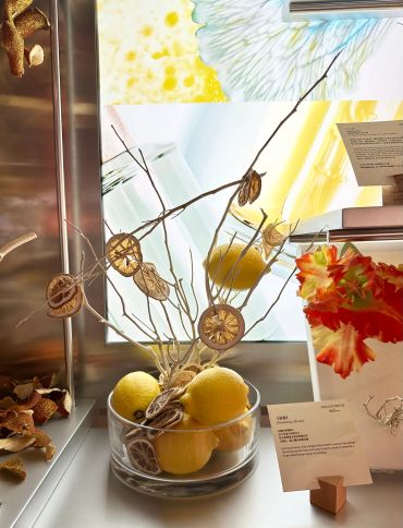 Decorative arrangement with lemons and dried slices in a glass bowl.