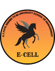 E-CELL DYPUSM
