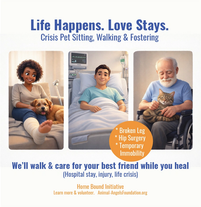 Life Happens. Love Stays. Crisis pet walking, sitting and fostering