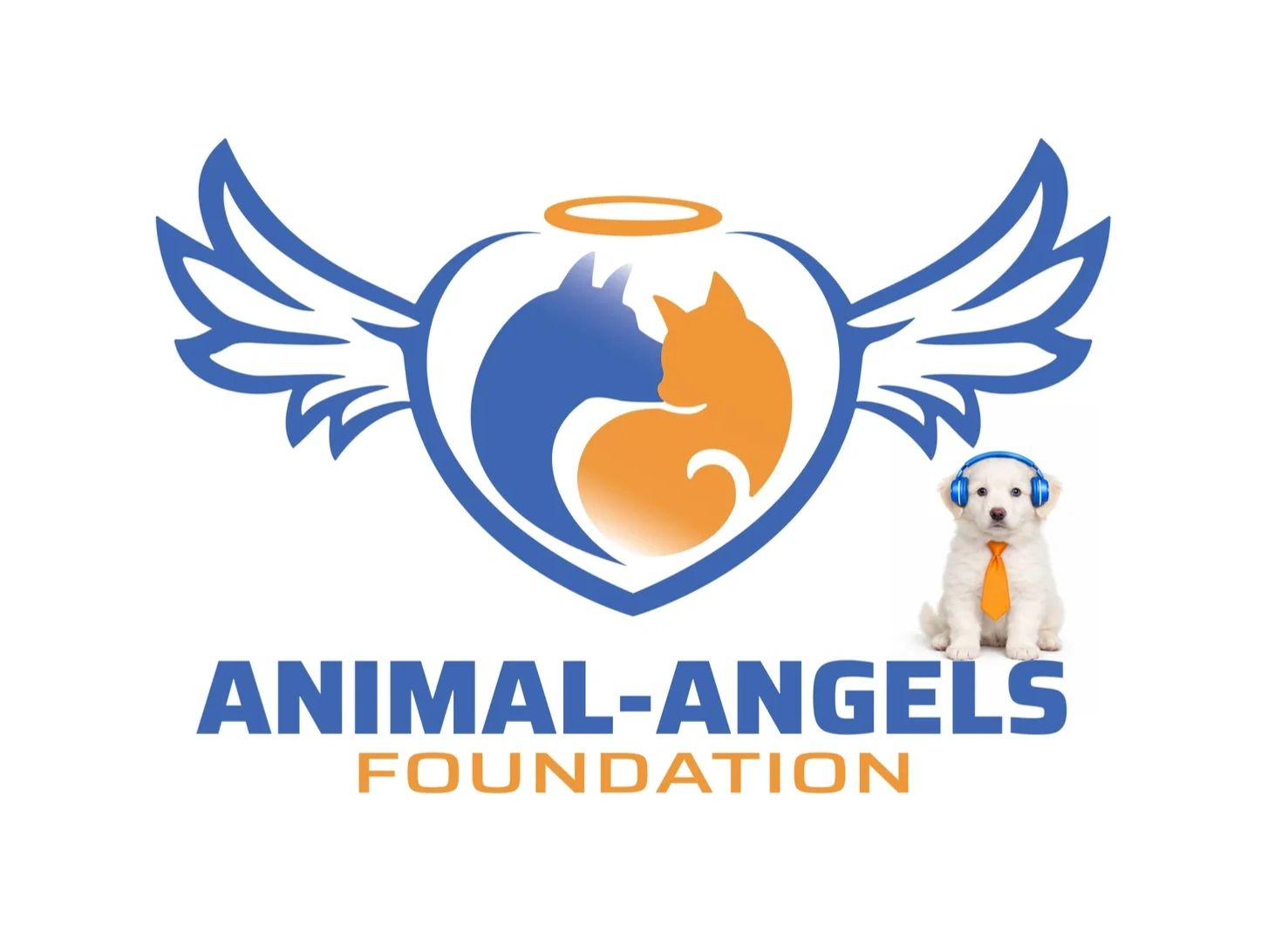 Animal Welfare: Support Our Mission to Help Animals
