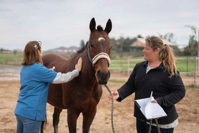 Two women caring for a brown horse outdoors at a stable.
