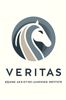 Logo of Veritas, a company specializing in engineering and construction services.