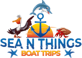 Sea N Things Boat Trips
