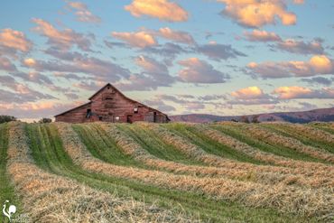 Clouds and Hay