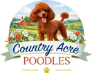 Country Acre Poodles