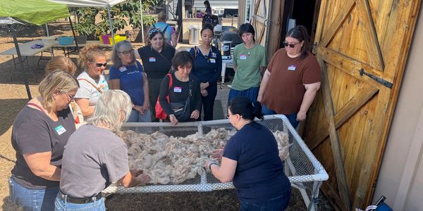 A group of people gathered around a table with wool.