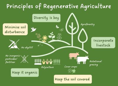 Image explaining the core principles of regenerative farming