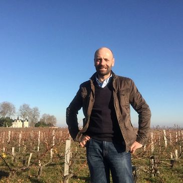 Paul Dovey in a vineyard in Bordeaux