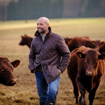 Paul Dovey in a field of mob grazing cows