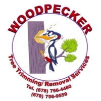 Woodpecker Tree Service