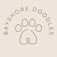 Bayshore Doodles