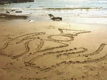 Kingdom Massage logo drawn in the sand with the waves gently crushing in the afternoon sun