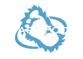 Barefoot Fencing and Decking