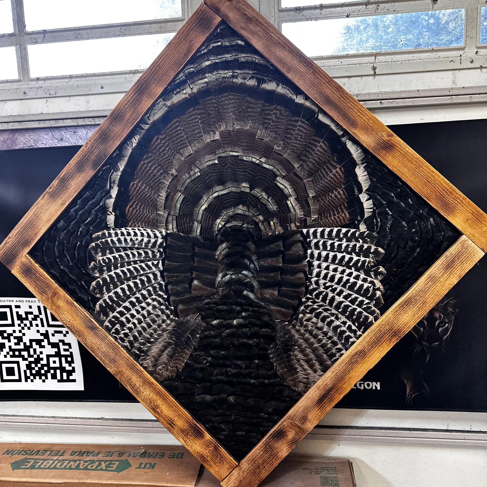 Framed display of turkey tail feathers in a garage setting.