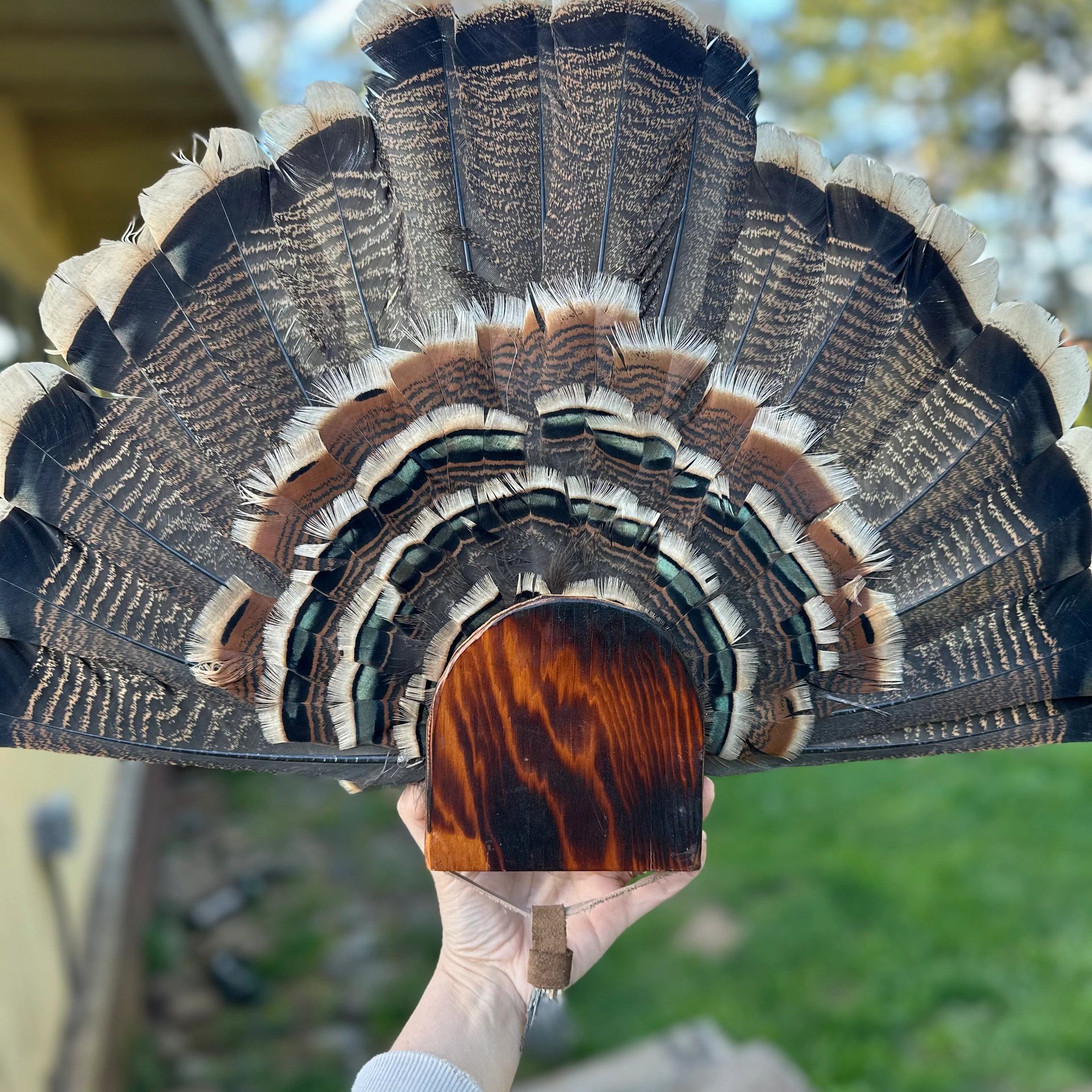 Hand holding a wooden turkey fan with detailed feathers.