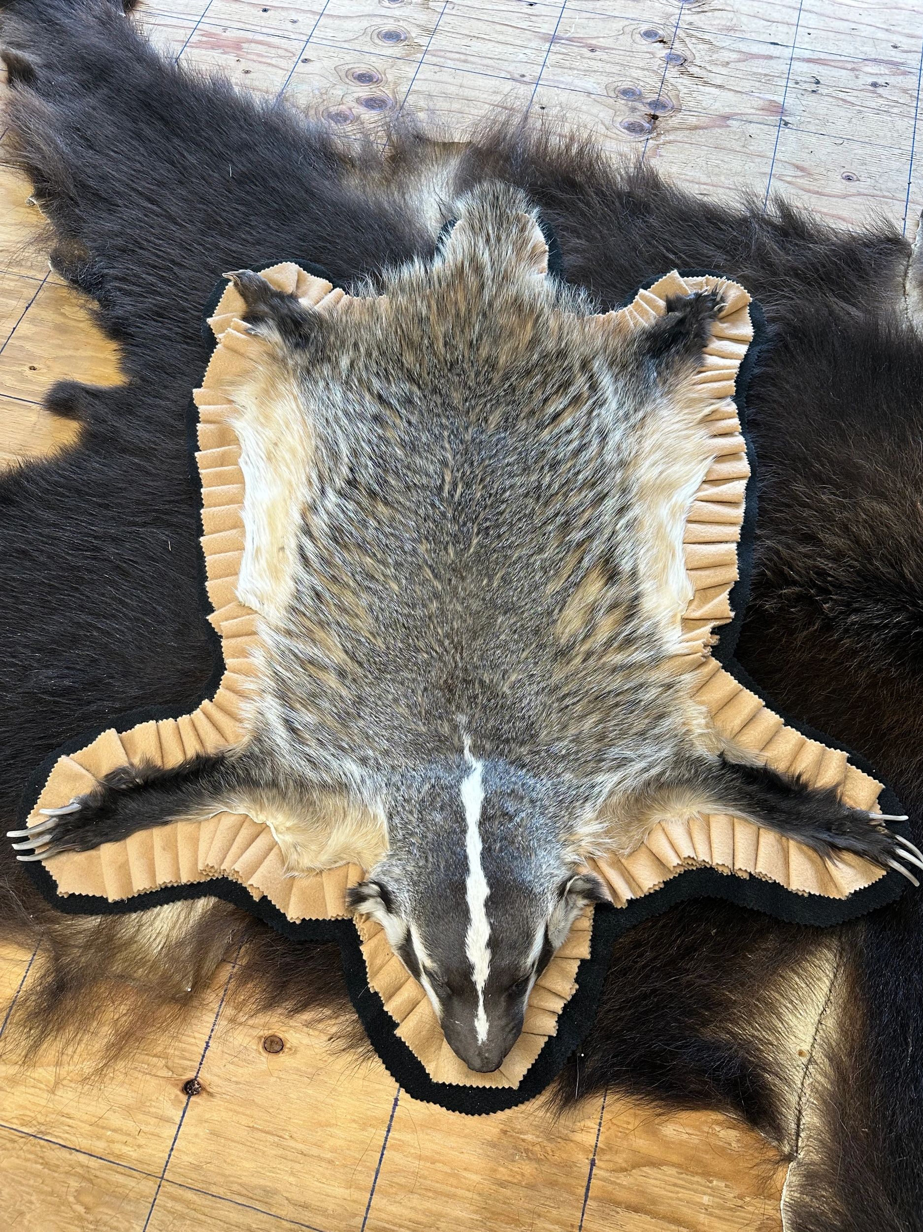 Tanned badger pelt with detailed fur and claws spread out on wooden floor.