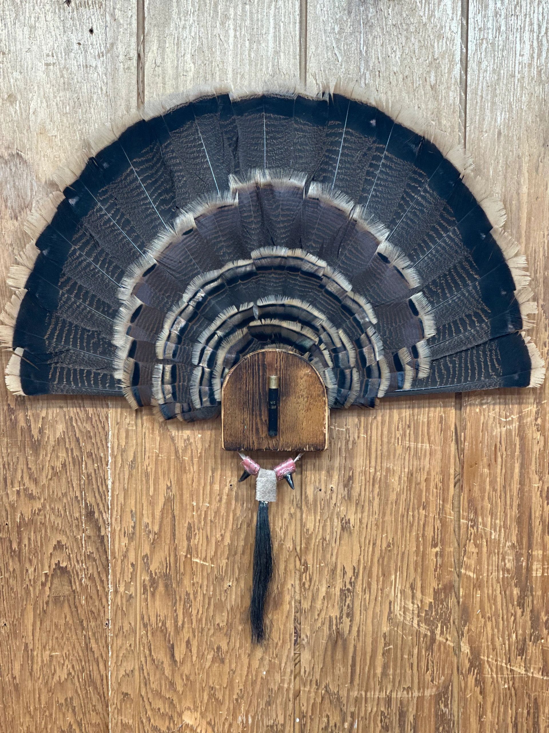 Decorative fan made of dark feathers mounted on wooden wall.