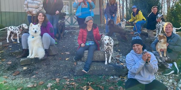 Ten people sitting outside on various stones and  the ground with their dogs beside them. 