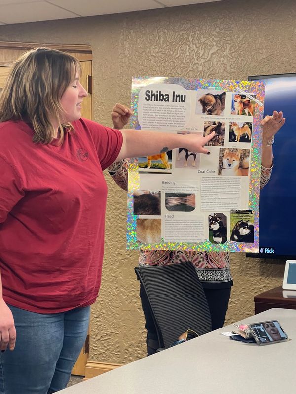 Club member is pointing to a poster that shares a variety of information about  the Shiba Inu dog br